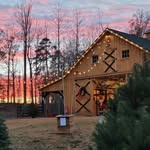 Tara Noel Christmas Tree Farm - @taranoelchristmastree - Instagram