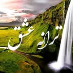 🕊ترانه عشق🕊 - @taranye_eshgh - Instagram