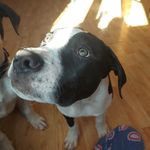 Tara Ogden - @tara.ogden.77920 - Instagram