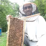عسل تَرا - @tara.honey75 - Instagram