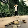 Tara Osman - @taraosman3 - TikTok