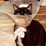 Tara Painter - @tpainter7658 - Instagram