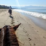Tara Painter - @tdpainter2014 - Instagram