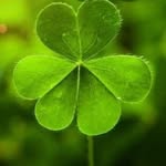 Tara Parmenter - @puregreenheartoftara - Instagram