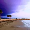 Tarra Parmeter - @tarraparmeter - TikTok