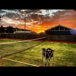 Tara Paxton Tennis Coach - @tara_paxton_tennis_coach - Instagram