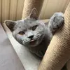 tara.paxton - @tara.paxton - TikTok