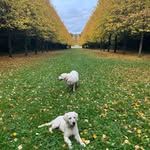 Tara & Pepper - @taraetpepper - Instagram