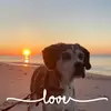 tarapetty735 - @tarapetty735 - TikTok