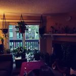 Tara Pickett-Lewis - @uhoh514 - Instagram