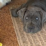 Tara Pike - @tara.pike.54 - Instagram