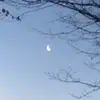 tara - @tara_pike - TikTok