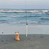 Tara Piper - @tara.piper2 - TikTok