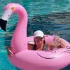 Tara Piper - @tarapiper4 - TikTok