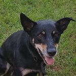 Tara Piper - @tara.piper.370 - Instagram