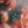 Tara Poe - @tarapo.1992 - TikTok