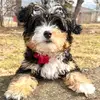tarapotts935 - @tarapotts935 - TikTok