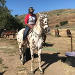 Tara Prabhu Hiniker - @taraprabhuhiniker - Instagram