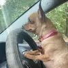 Tara_putnam - @taranicoleputnam - TikTok