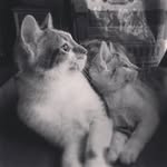 Eltess Tara Rio - @eltario.glly - Instagram