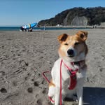 あこ - @tara_rio.76 - Instagram