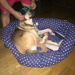 rocco tara - @rocco_taraa - Instagram