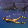tararousecrawford - @tararousecrawford - TikTok