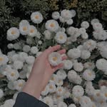 Tara 🦋 - @tara_sabbagh - Instagram