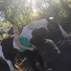 tara Sanderson - @tarabear4455 - TikTok