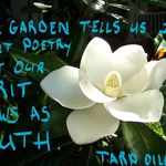 Tara Sayers Dillard - @tara_dillard - Instagram