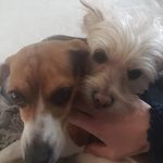 Tara Schaefer Brunsvold - @taraschaeferbrunsvold - Instagram