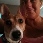 Tara Schaeffer - @tara.schaeffer.52 - Instagram