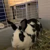 Tarah Schaeffer - @tarahlschaeffer - TikTok