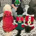 Tara Seger Reese - @smartypantsx2 - Instagram