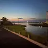 Tara Lin Bullock-Seiler - @tara.lin.bullocks - TikTok