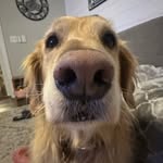 Tara Seper - @tara_seper - Instagram