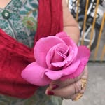 Tara Sethi - @tara.sethi.507 - Instagram