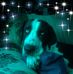 Tara Shoemaker - Facebook