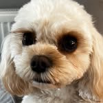 Tara Short - @short_tara - Instagram