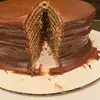 Tara Slaughter895 - @taraspoundcakes - TikTok