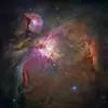 Only Space - @tara_space - TikTok