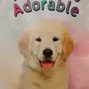 Tara Stanley - @tara.stanley41 - TikTok