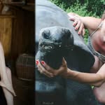 tara stark - @tarastark254 - Instagram
