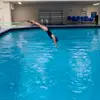 Tara Steinhorst - @tarasteinhorst - TikTok