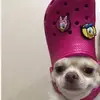 tara.steinnnn - @tara.steinnnn - TikTok