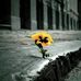 Taras Struk - Facebook