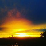 Tara - @tara_switzer.123 - Instagram