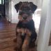 Tara Thiel - Facebook