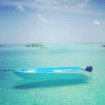 Tara Turkington - @taraturk1 - Instagram