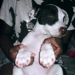 TARA-TYSON - @tara_6752 - Instagram